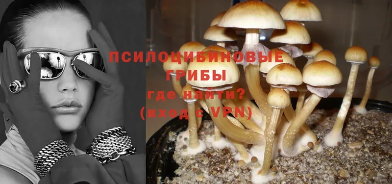 Галлюциногенные грибы Magic Shrooms  Кулебаки 